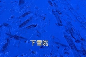 JDG中单选手HongQ更新ins动态：下雪啦