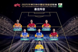 中超本赛季最佳阵容：法比奥、瓦科领衔，蓉城4人海港2人入选